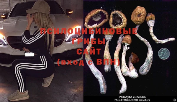СК Дмитриев