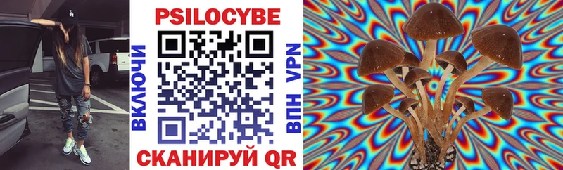 blacksprut ссылка  наркошоп  Ветлуга  Псилоцибиновые грибы ЛСД 