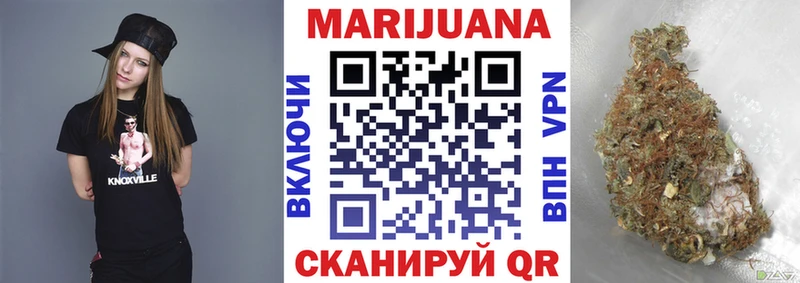 Каннабис сатива  купить  цена  Ветлуга 
